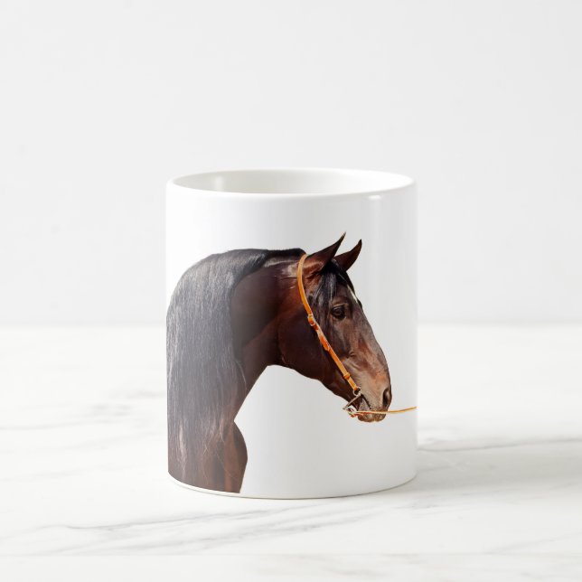 andalusischer Stallion am Weiß Tasse (Mittel)