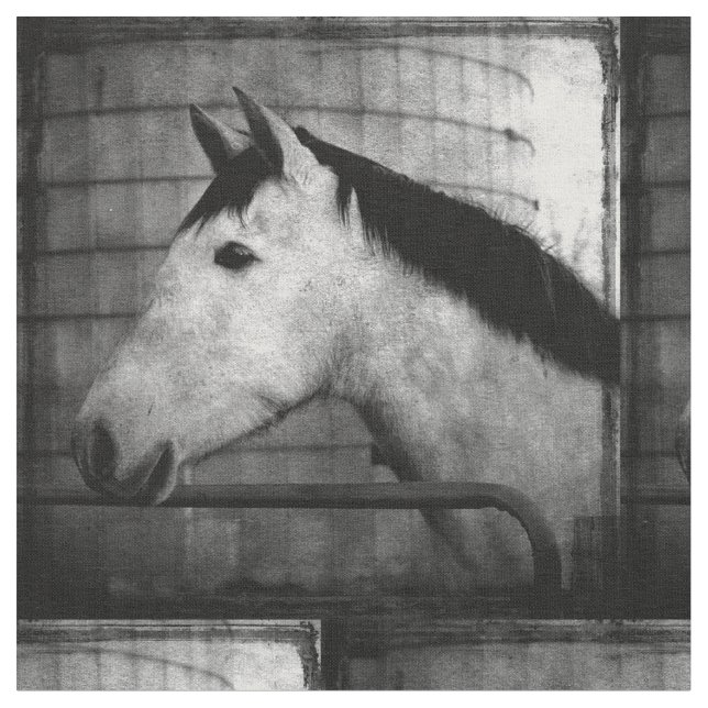 Andalusisches Pferd Stoff (Nahaufnahme)
