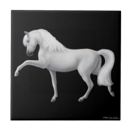 Andalusisches Pferdespanische Schritt-Fliese Fliese