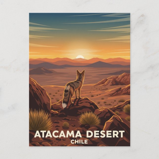 Andean Fox im Chile der Atacama-Wüste Postkarte (Vorderseite)
