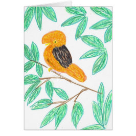 AndencockOfTheRock (Rupicola peruvianus)