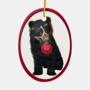 Andenverzierung der bärn-Grundlagen-2011 Keramik Ornament