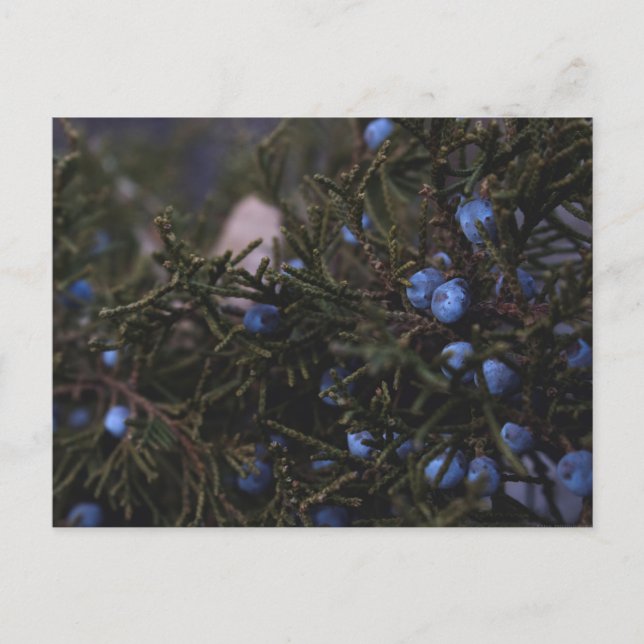 "Andere blaue Welten" Postkarte (Vorderseite)