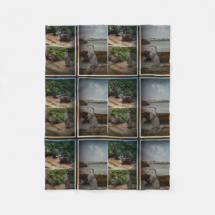 Andere drei Bilder Collage, klein Fleecedecke