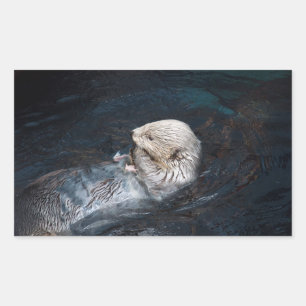Andere Esswasser Tiere Natur Wasserwild Rechteckiger Aufkleber