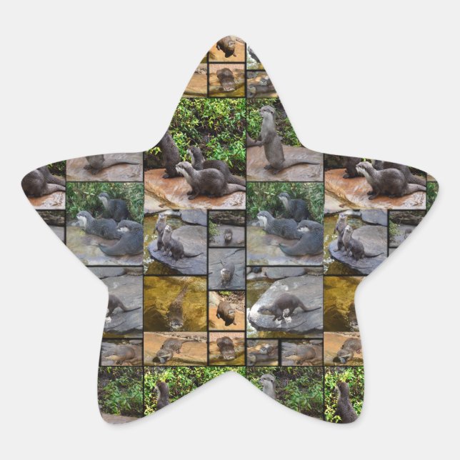Andere Foto Collage Star Sticker. Stern-Aufkleber (Vorderseite)