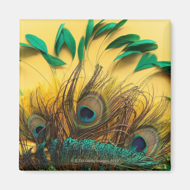Andere Peacock Feathers Magnet (Vorne)