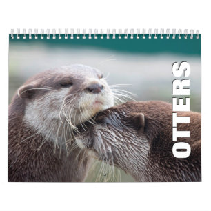 Andere Terminkalender Kalender