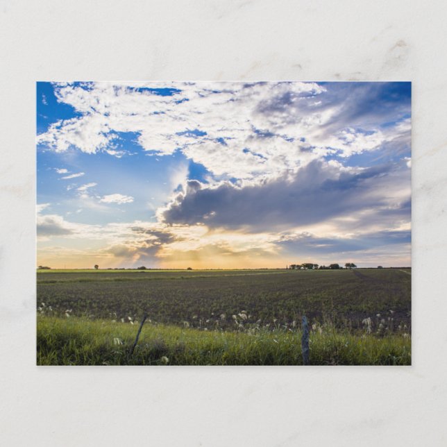 Anderer Sonnenuntergang Postkarte (Vorderseite)