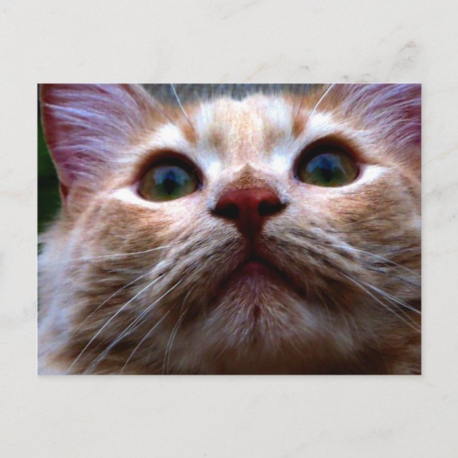 Änderung der Adresskarte Ankündigungspostkarte (Vorderseite)