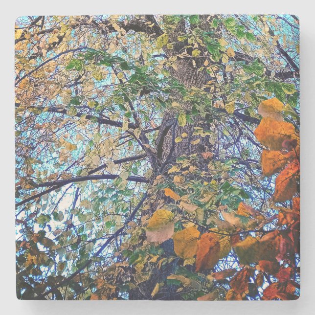 Änderung der Blätter Steinuntersetzer (Vorderseite)