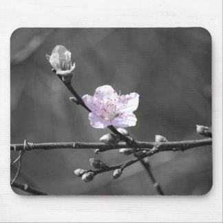 Andeutung der rosa Kirschblüte Mousepad