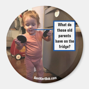 Andi Fridge Inspection Magnet