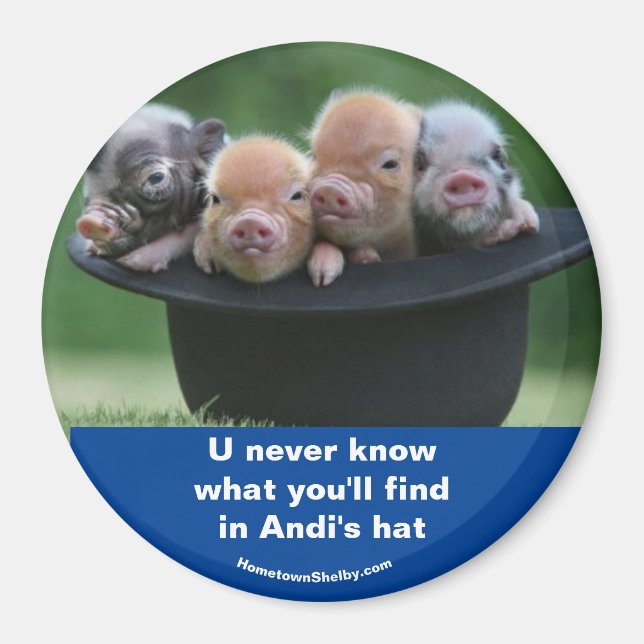 Andi's Hut Magnet (Vorne)