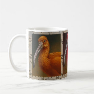 Andrew Denman Scarlet-IBIS-Tasse Tasse