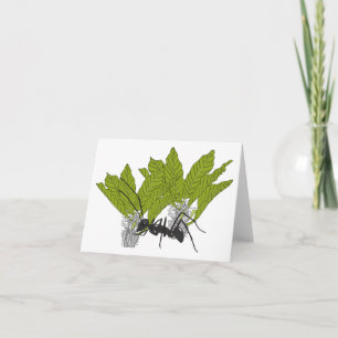 Andrew die Ameise Karte