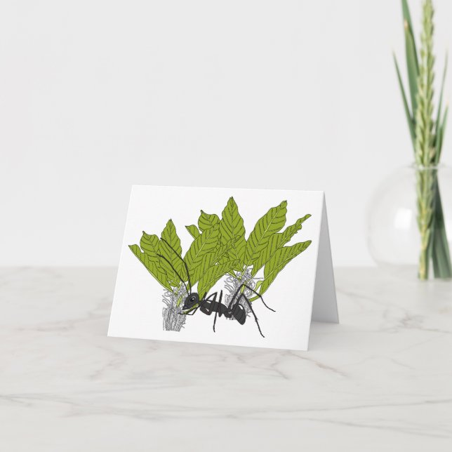 Andrew die Ameise Karte (Vorderseite)