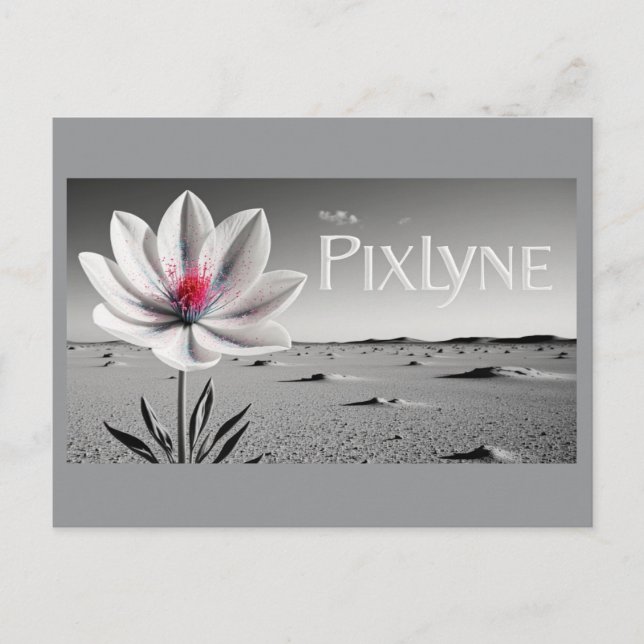 Andrew Goodchild Post Card Postkarte (Vorderseite)