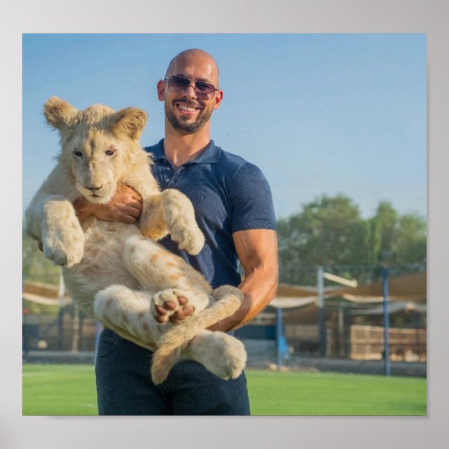 Andrew Tate tiger poster (Vorne)