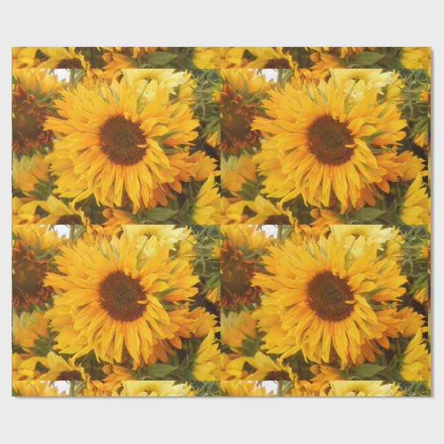 Andriola Geschenkpapier (Flach)