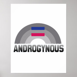 ANDROGYNER REGENBOGEN POSTER