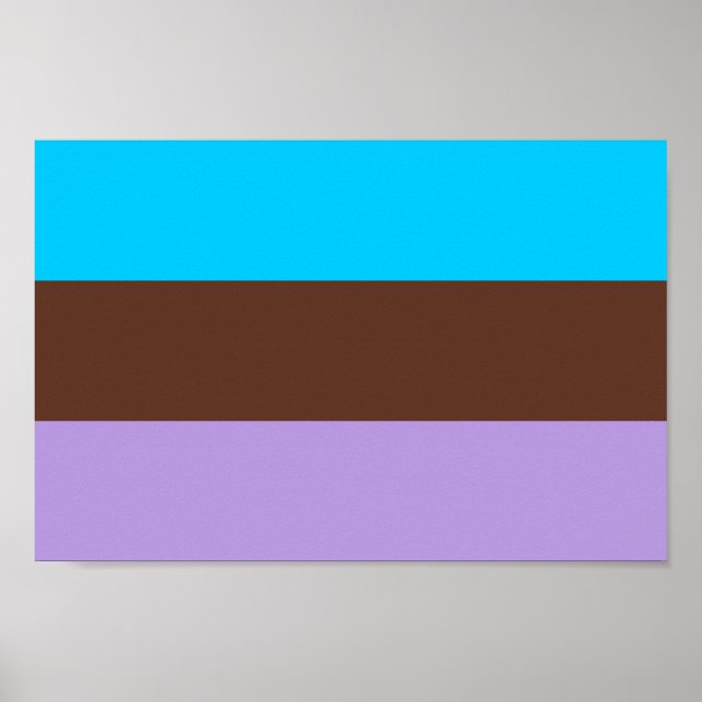 Androsexual Pride Poster (Vorne)