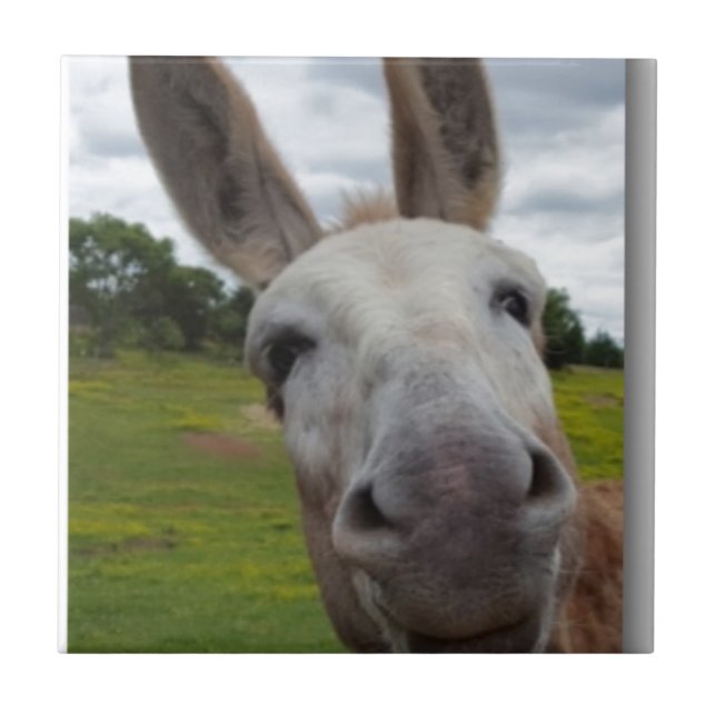 Andy Fliese (Vorderseite)