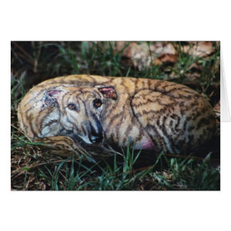 "Andy"-Hunderock-Karte