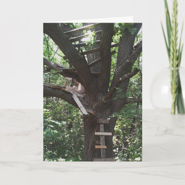 "Andy's Market Treehouse" Birthday Card Karte (Vorderseite)