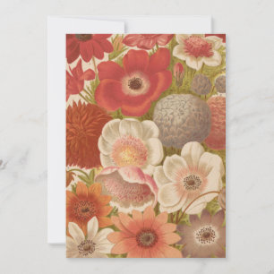 Anemon   George Nicholson