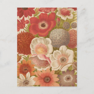Anemon George Nicholson Postkarte