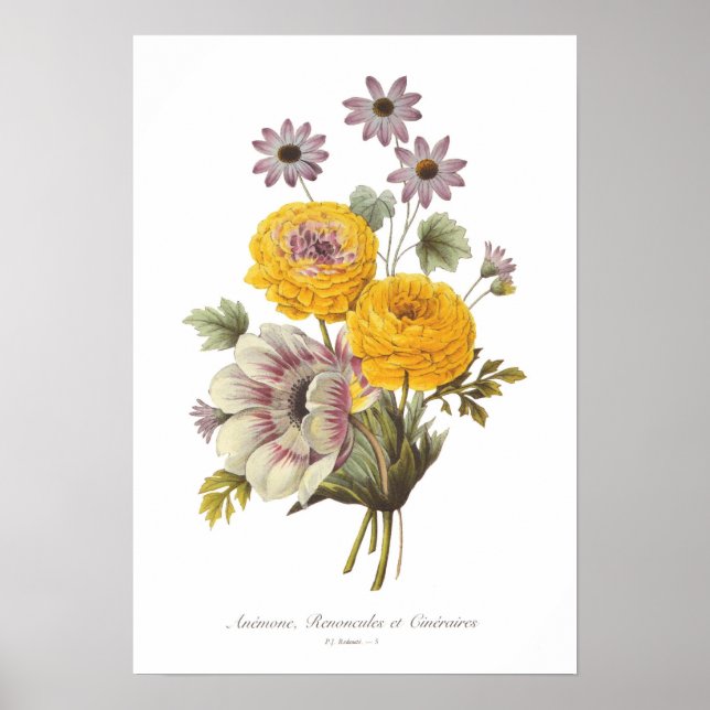 Anemon und Ranunculus Poster (Vorne)