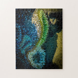 Anemone auf See in Cox Bay, Tofino, BC (Kanada) Puzzle