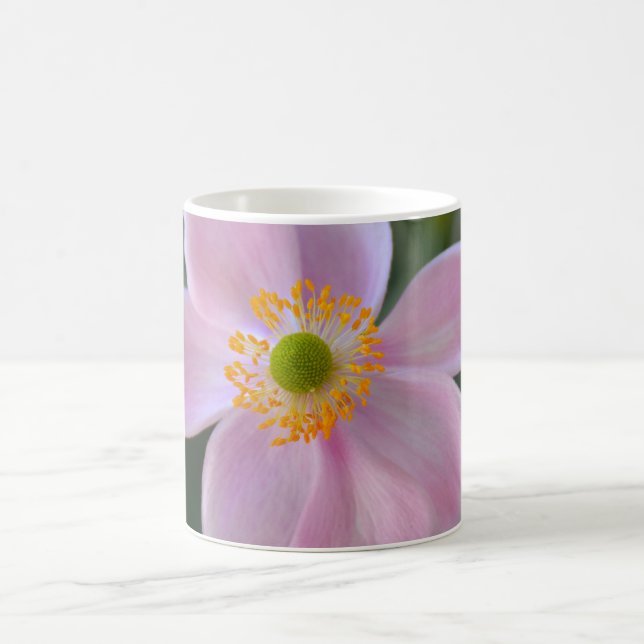 Anemone-Blume Kaffeetasse (Mittel)
