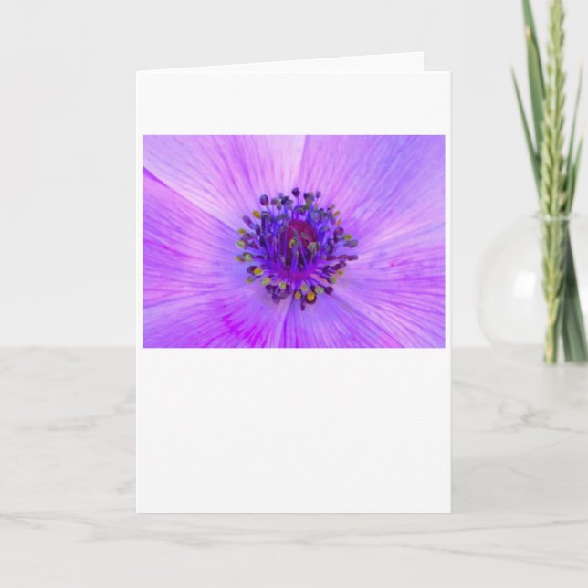 Anemone, Karte (Vorderseite)