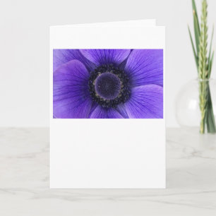 Anemone, Karte