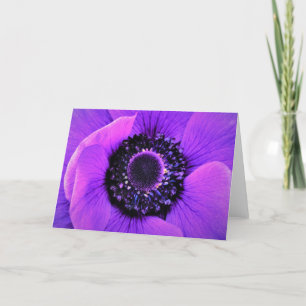 Anemone, Karte