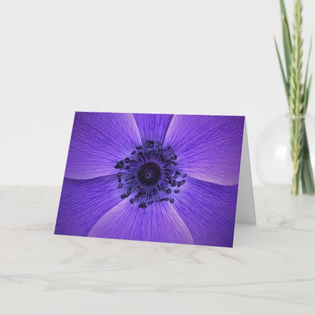 Anemone, Karte (Vorderseite)
