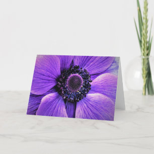 Anemone, Karte