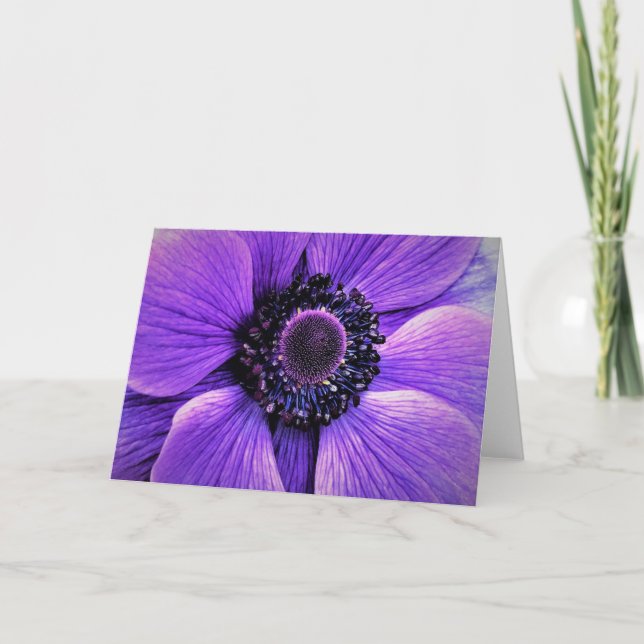 Anemone, Karte (Vorderseite)