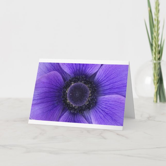 Anemone, Karte (Vorderseite)