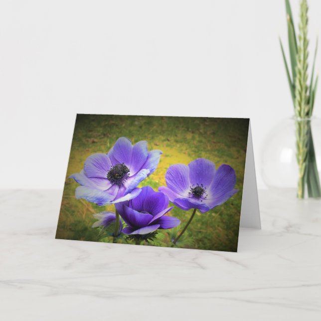 Anemone, Karte (Vorderseite)