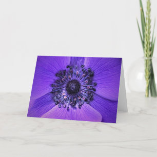 Anemone, Karte
