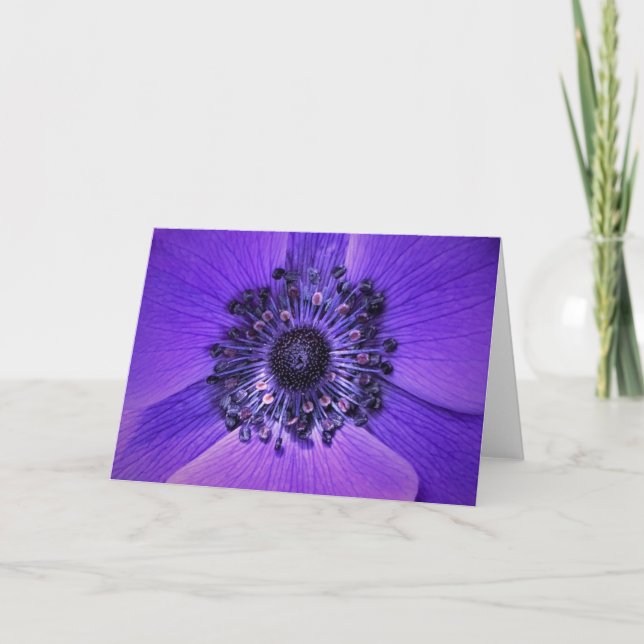 Anemone, Karte (Vorderseite)