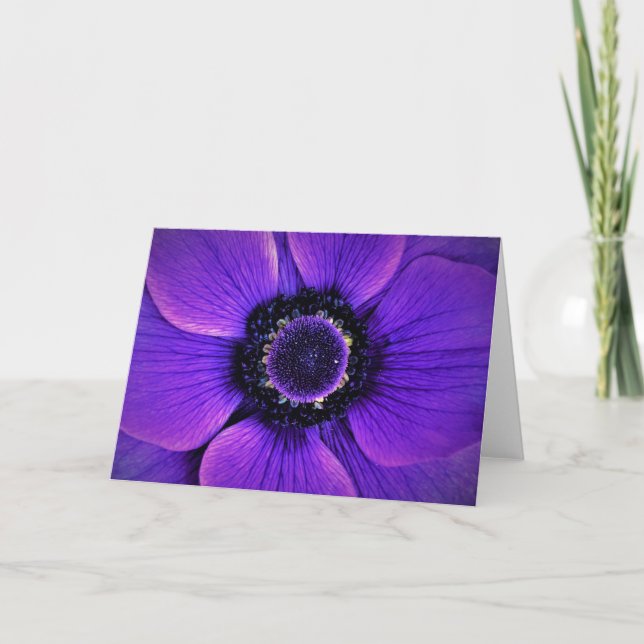 Anemone, Karte (Vorderseite)