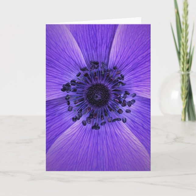 Anemone, Karte (Vorderseite)