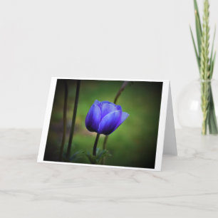 Anemone, Karte