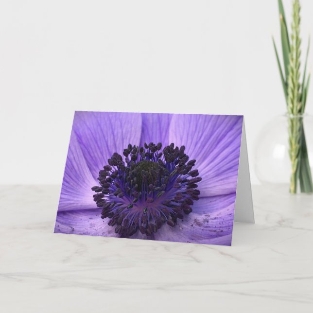Anemone, Karte (Vorderseite)