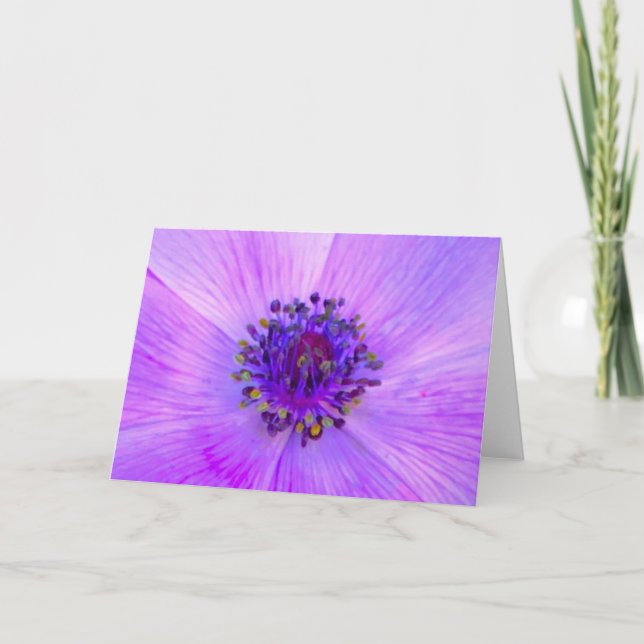 Anemone, Karte (Vorderseite)