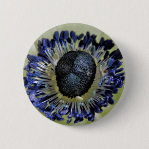 Anemone Mistral Panda Abzeichen Button
